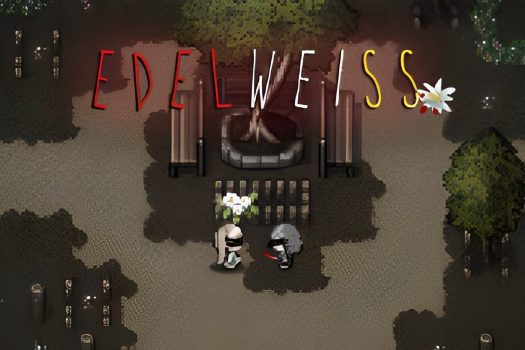 雪绒花 Edelweiss Build.11167361 中文版