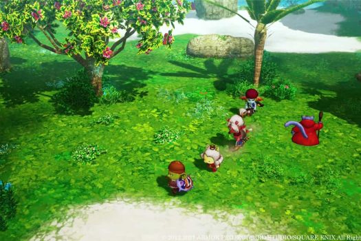 勇者斗恶龙10 觉醒的五个种族 Dragon Quest X Rise of the Five Tribes Build.11216186 官方原版日文