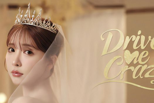 我为情狂 Drive Me Crazy 官方简体中文